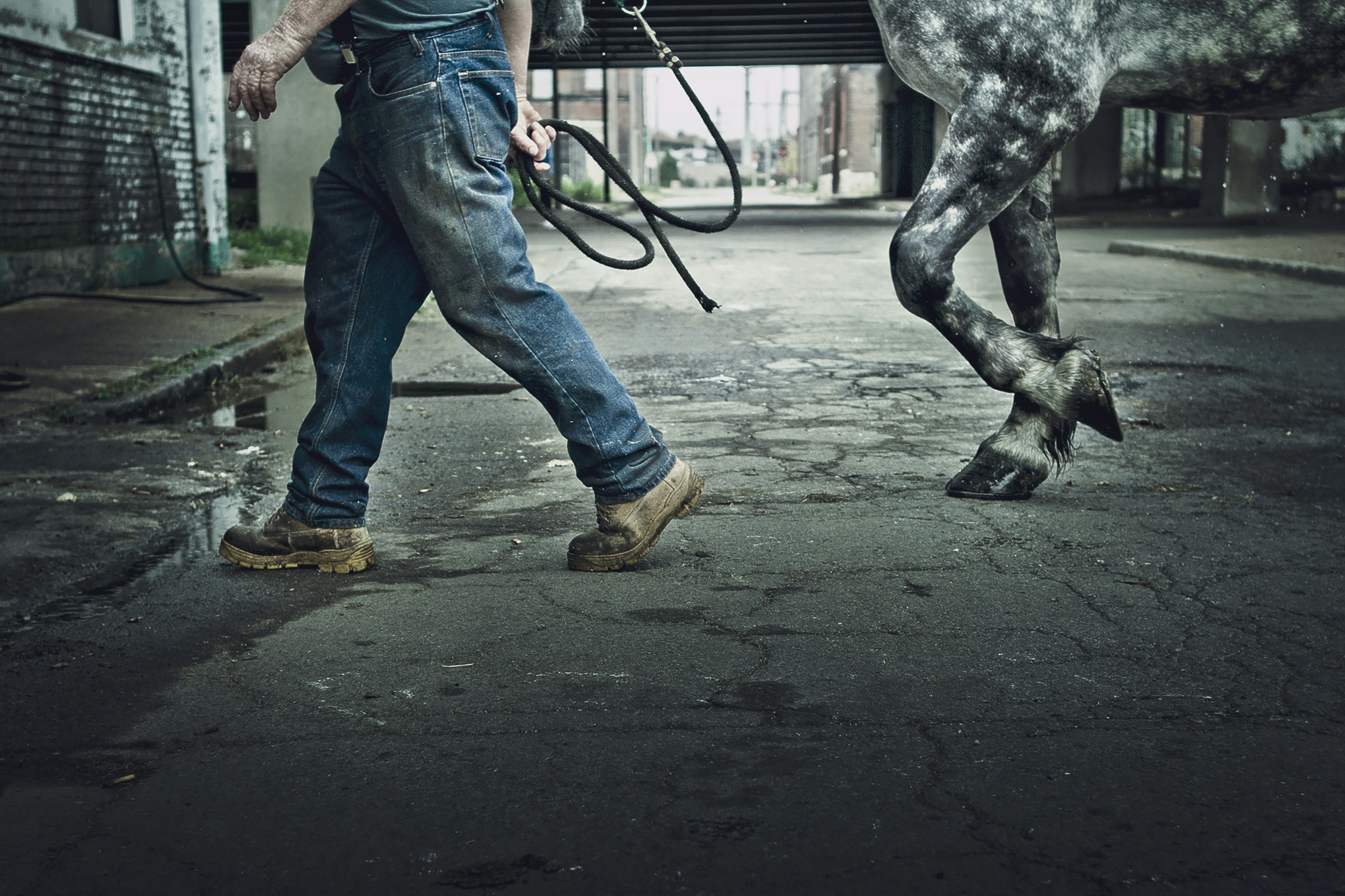 man wearing blue denim jeans waling with grey horse on grey concrete road